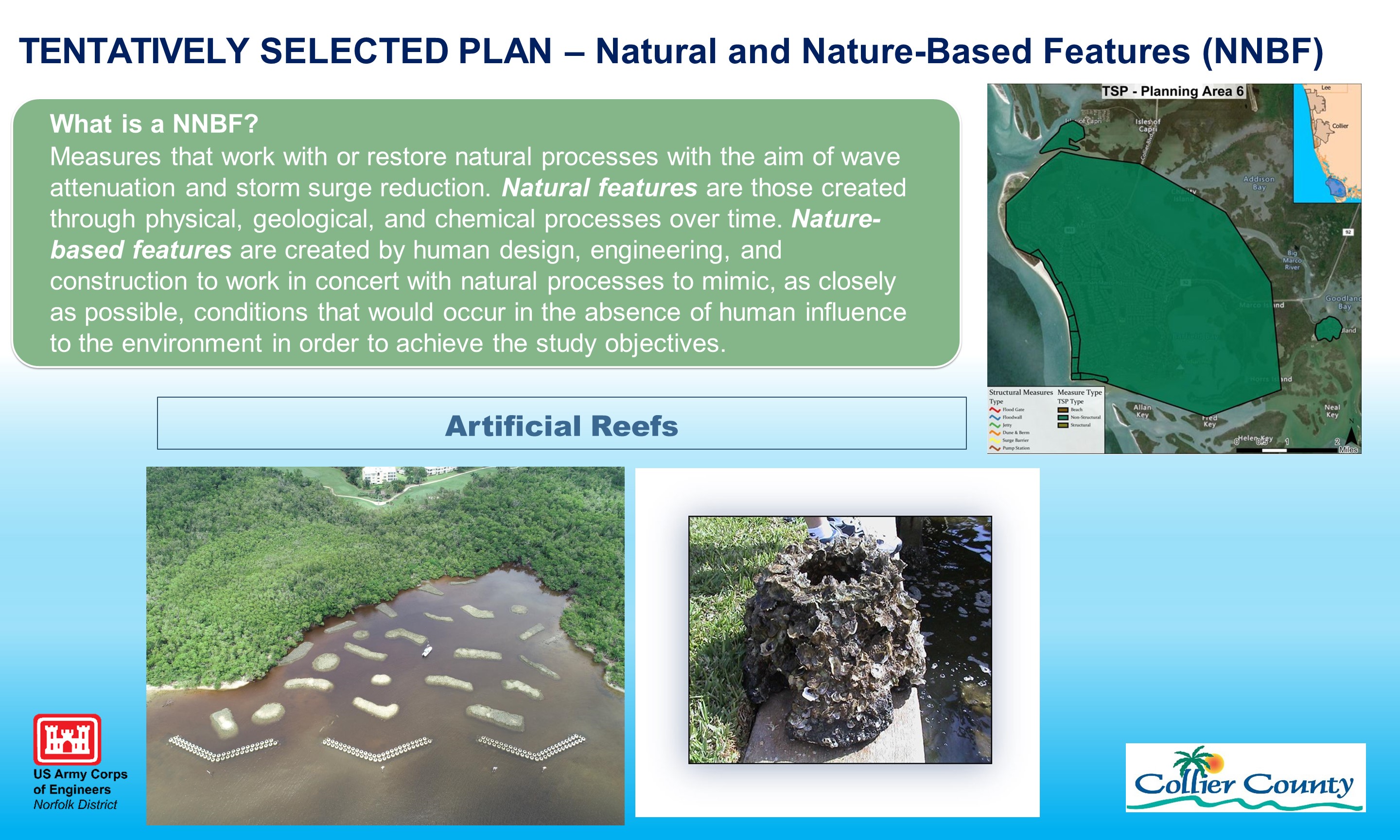 Collier County CSRM Tentatively Selected Plan Natural and Nature Based-Features